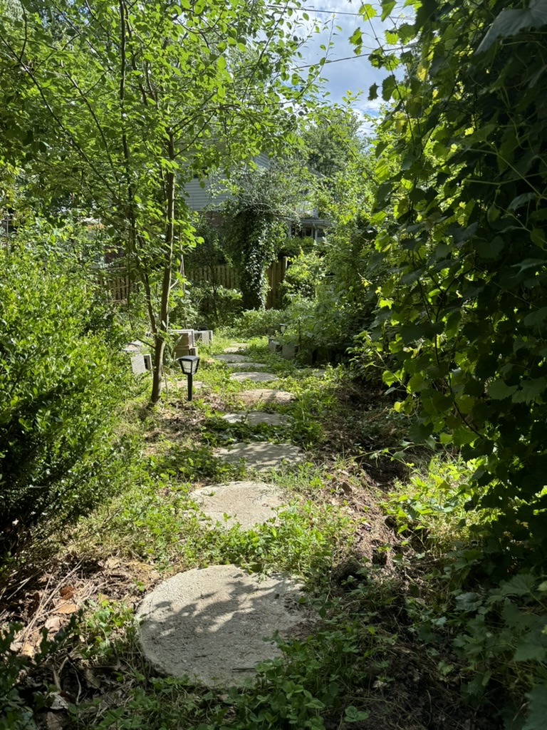 Sustainable landscape design