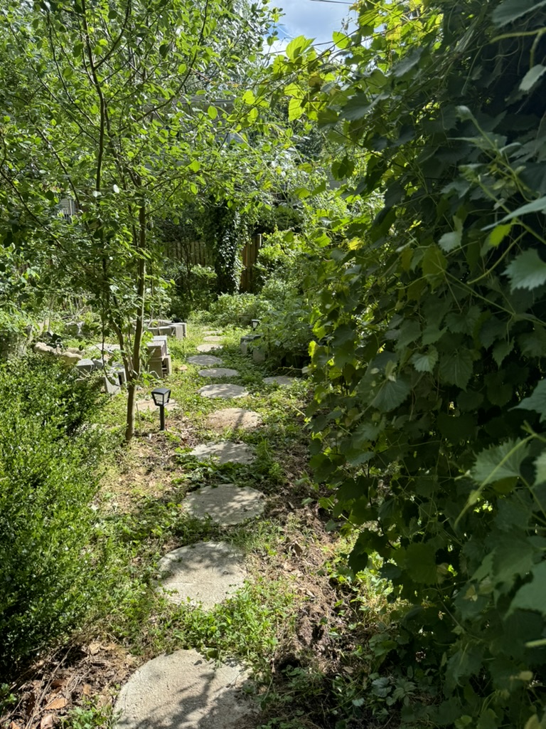 Commercial Agricultural Systems